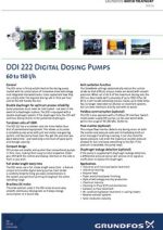 DDI-Brochure PDF-1