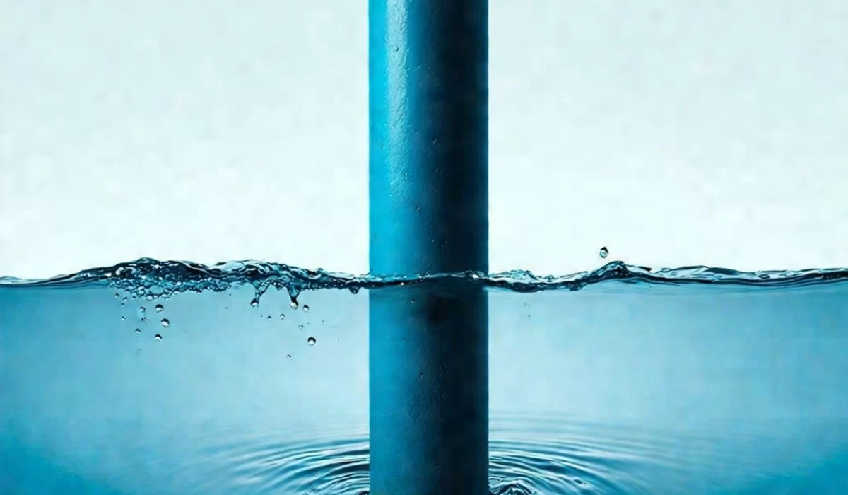 c00ad781-63f8-4fd1-91f0-abac3f03bba3