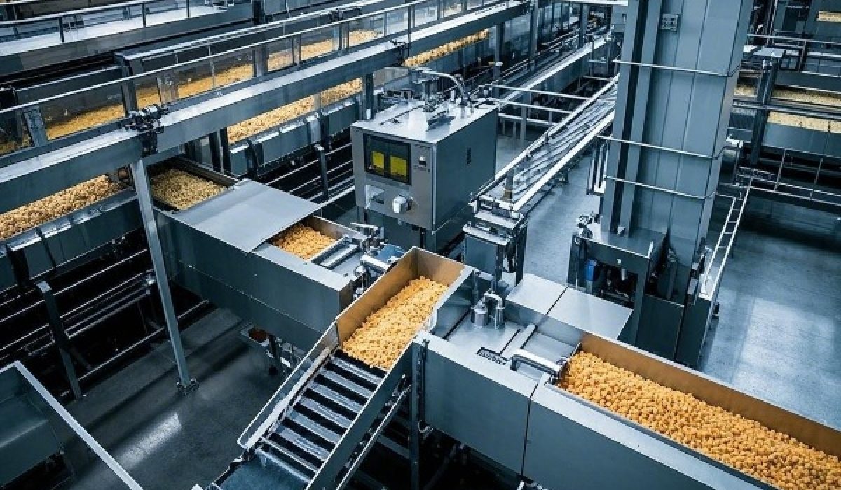 food & beverage factory (1)